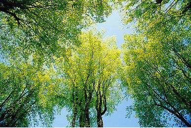 《METAL EDEN》延期至9月2日发售 第一人称SF射击